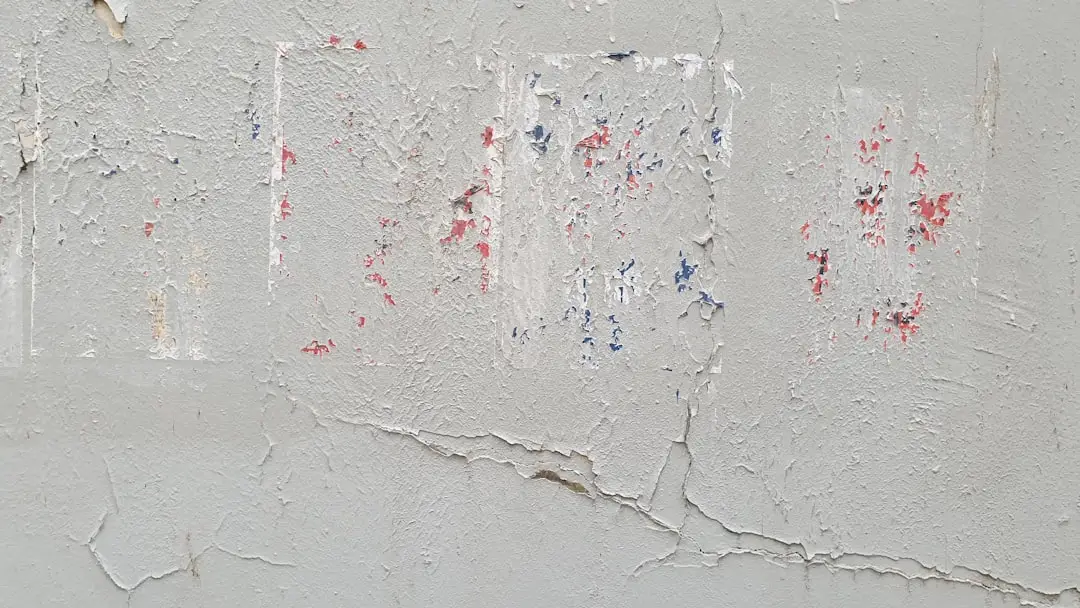 Paint samples and swatches on a wall